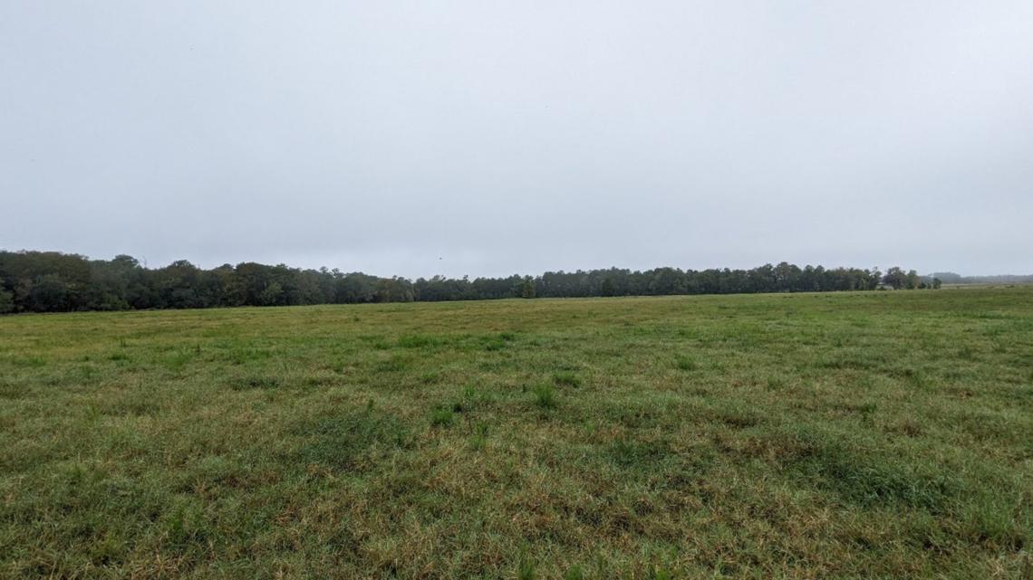 Putnam County farmland permanently protected through Florida conservation easement deal