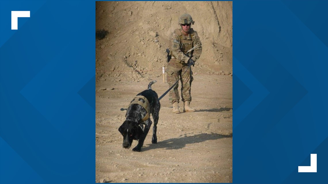 Training service dogs for military members is therapy for veterans