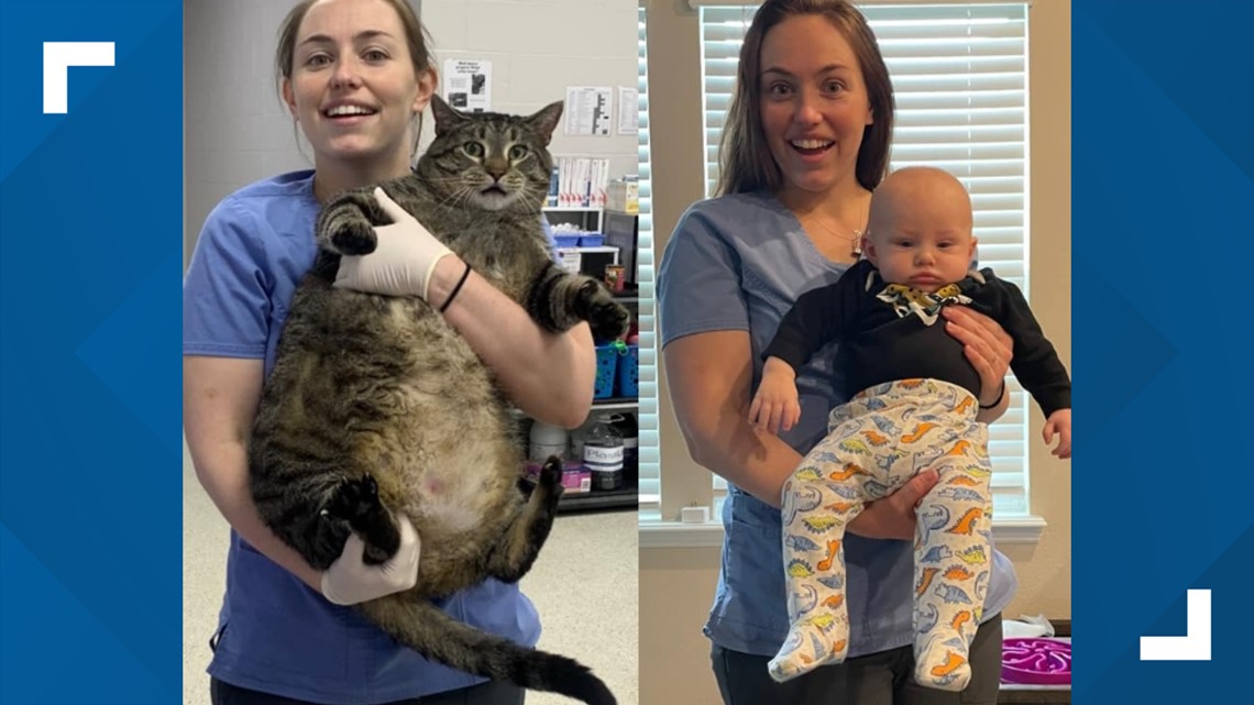 Animal Rescue in Boston Helps Pair of 30-Lb. Cats Lose Weight