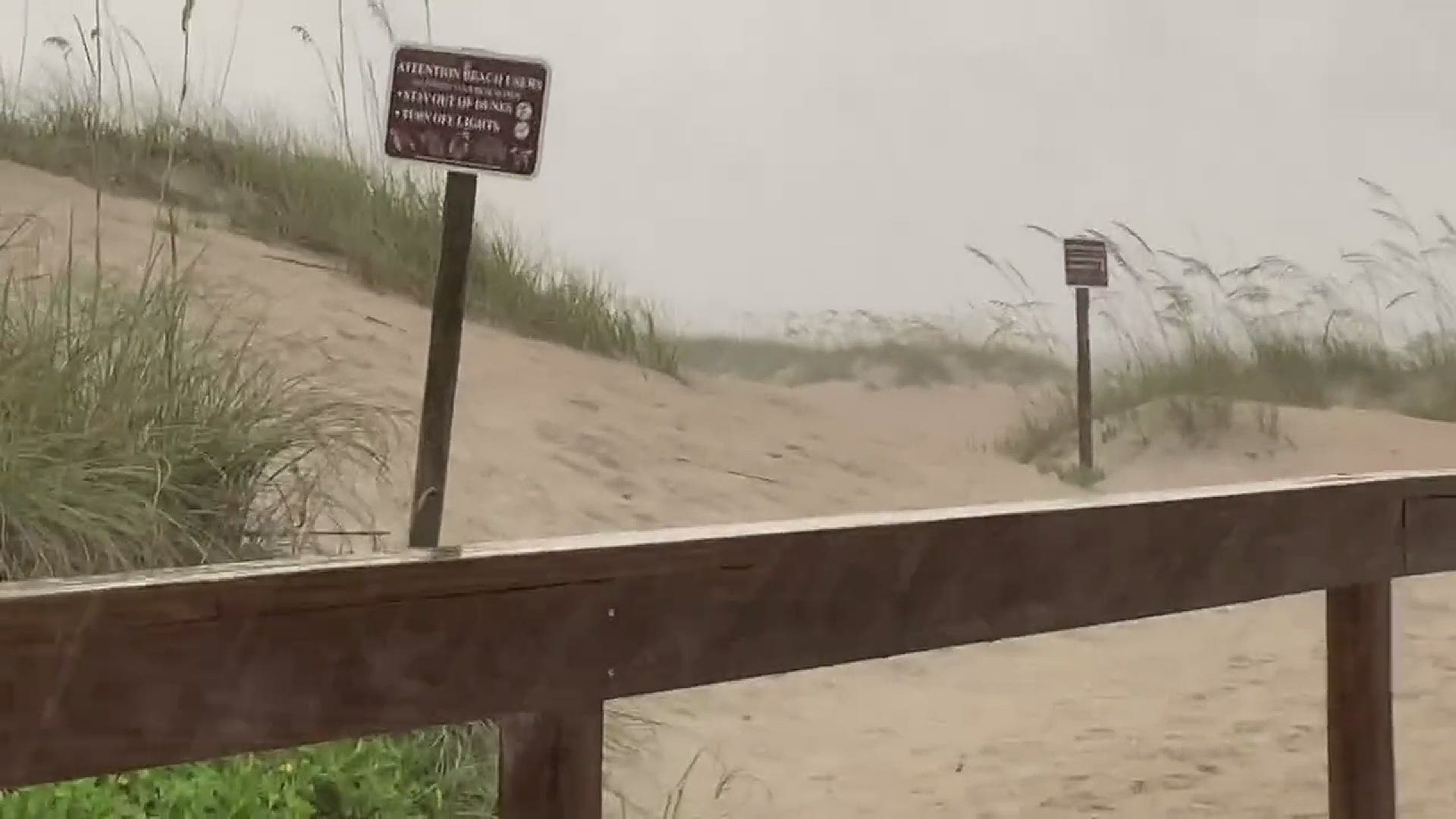 The rain started coming down harder shortly after 9 a.m. Wednesday as Elsa approaches Florida.
Credit: First Coast News
