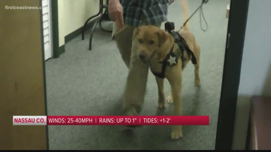 Clay County Sheriff's Office hires K9 to sniff out child porn in hidden electronics | firstcoastnews.com