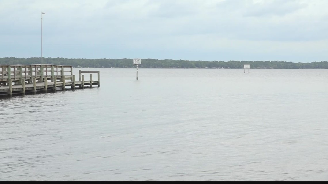 Harmful blue-green algae bloom in Clay County | firstcoastnews.com - Vimarsana News