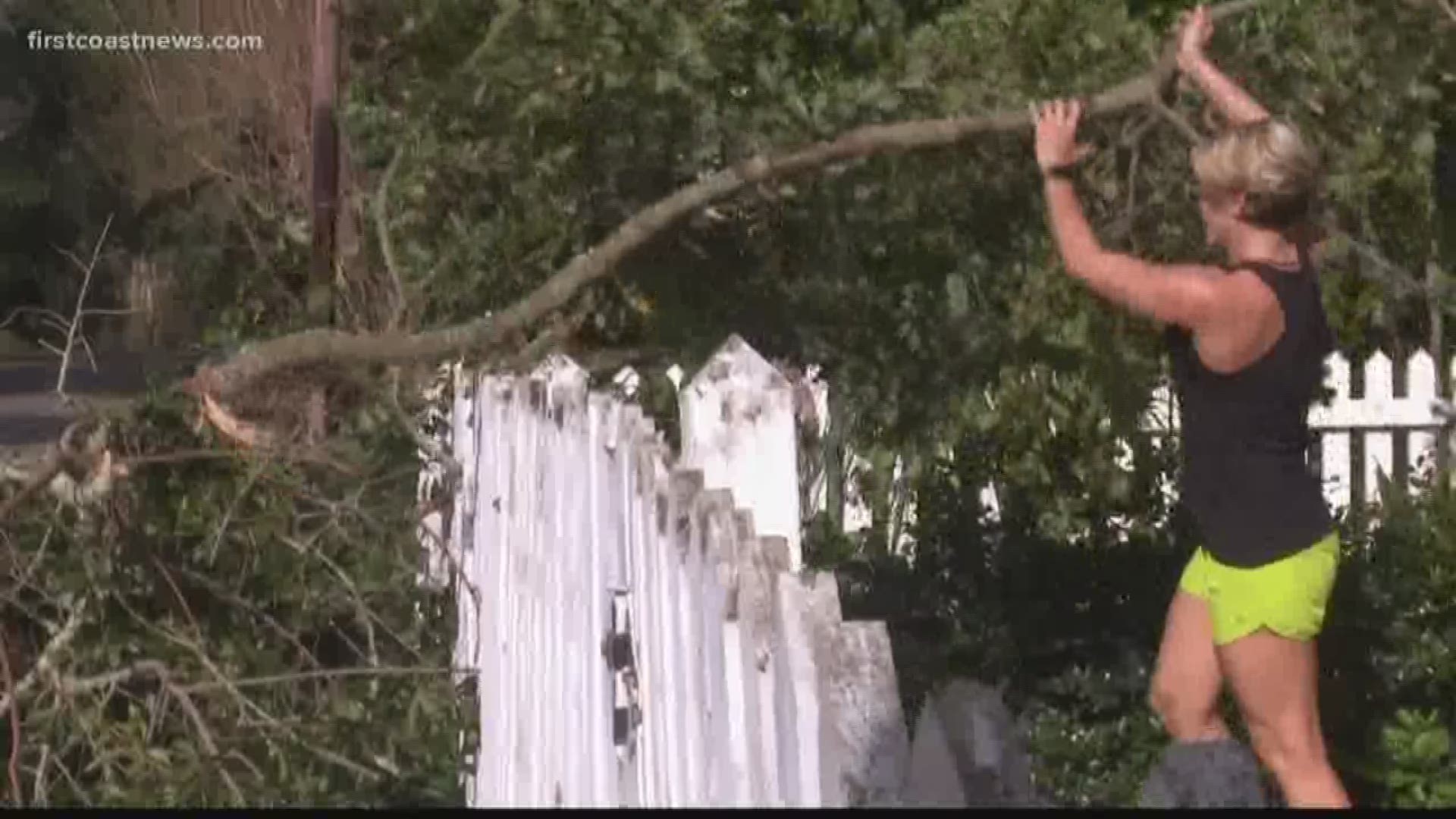 Strong winds, trees down and families left in the dark. Hurricane Michael blew through Tallahassee Wednesday, knocking down trees and power lines along the way.