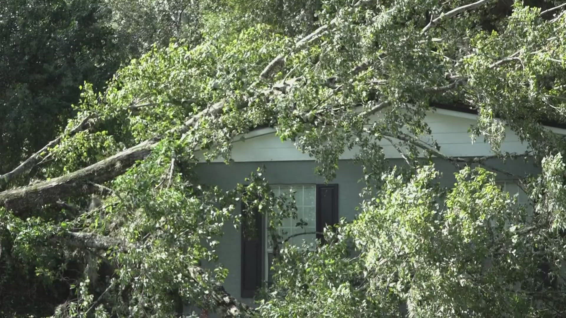 Down power lines and toppled trees litter Clay County as thousands of people woke up to no electricity.