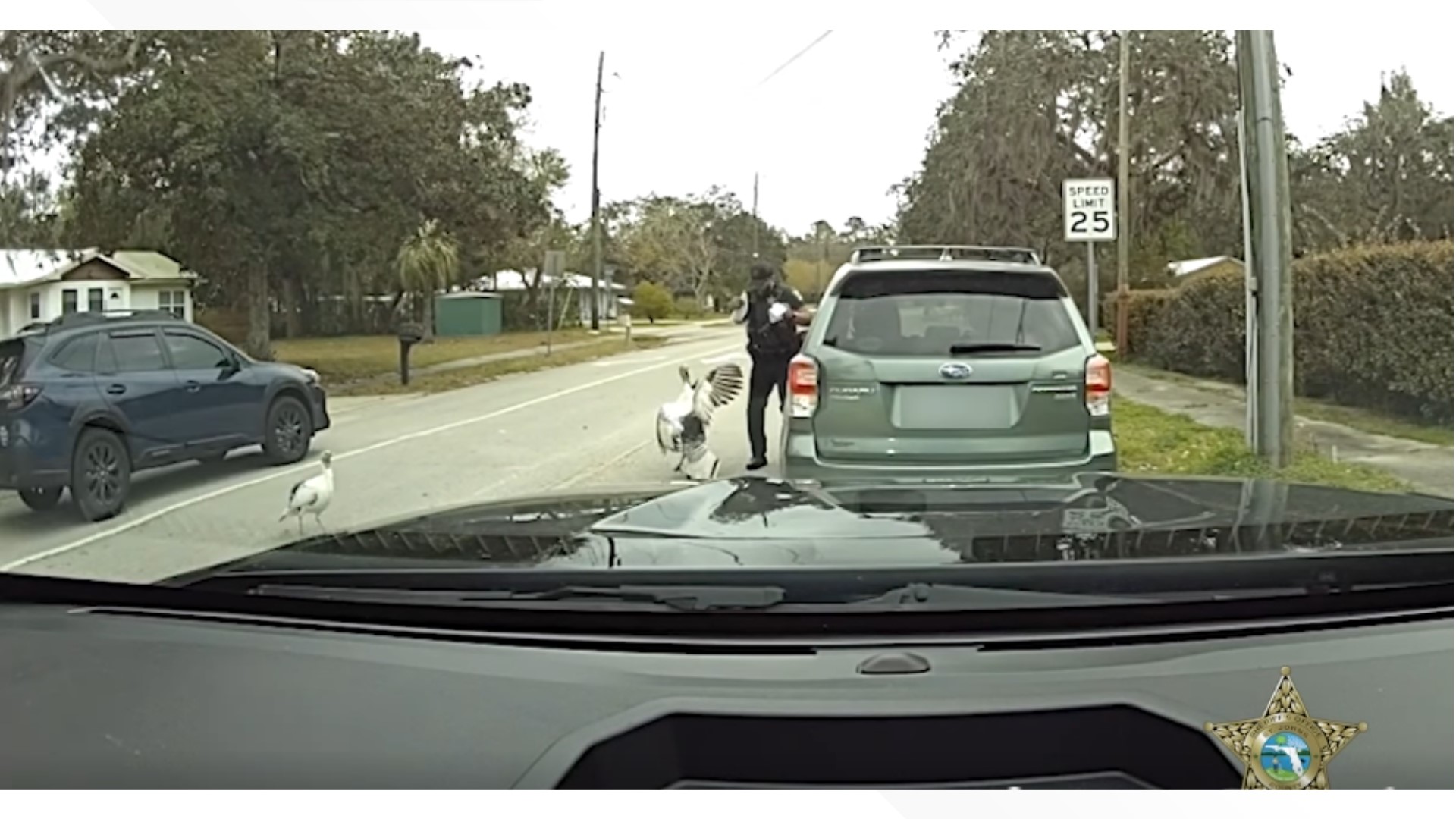 Deputy Carson ruffled a few feathers during a traffic stop in the Vermont Heights neighborhood.