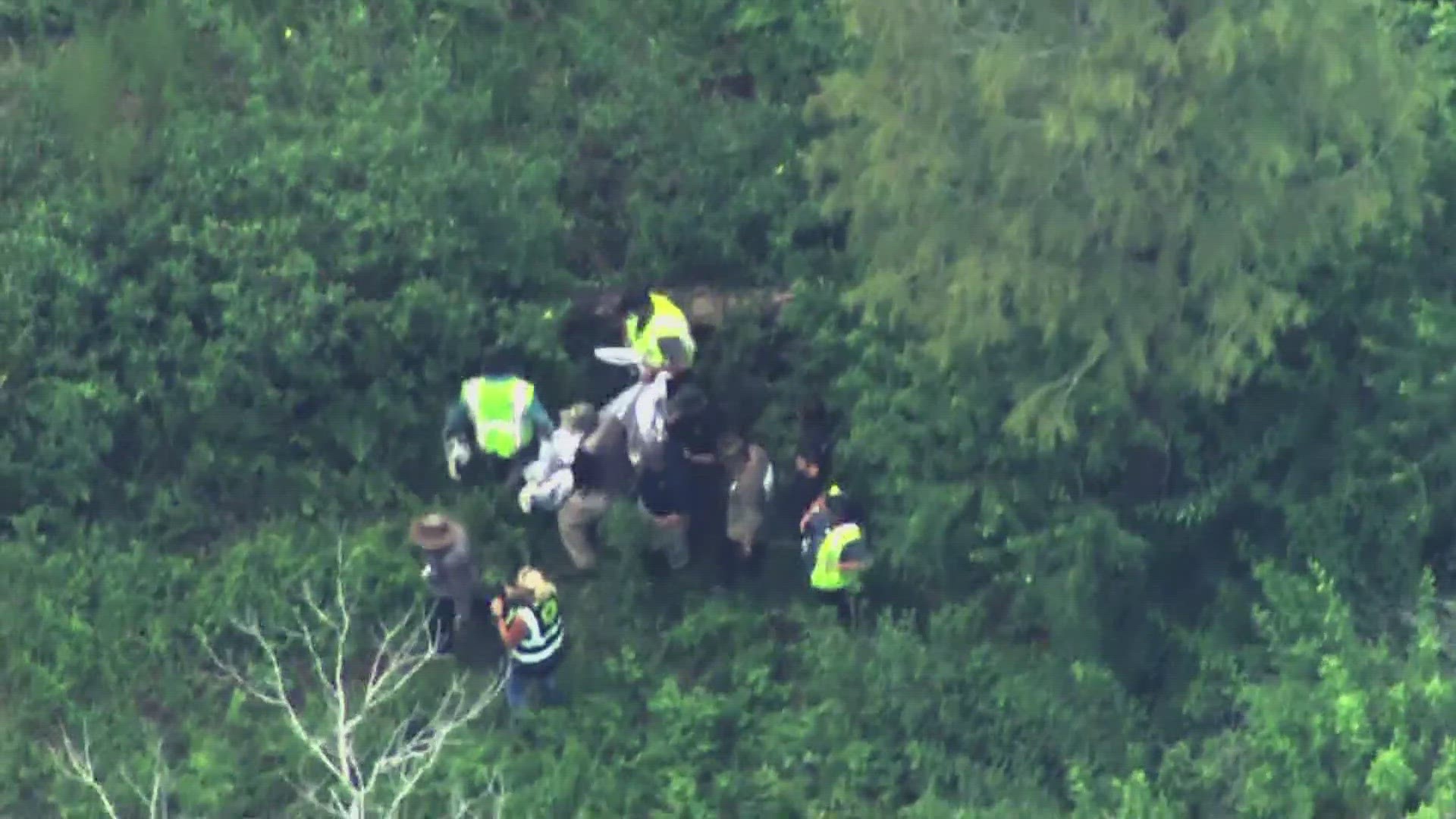 Disney: Black bear spotted at Magic Kingdom