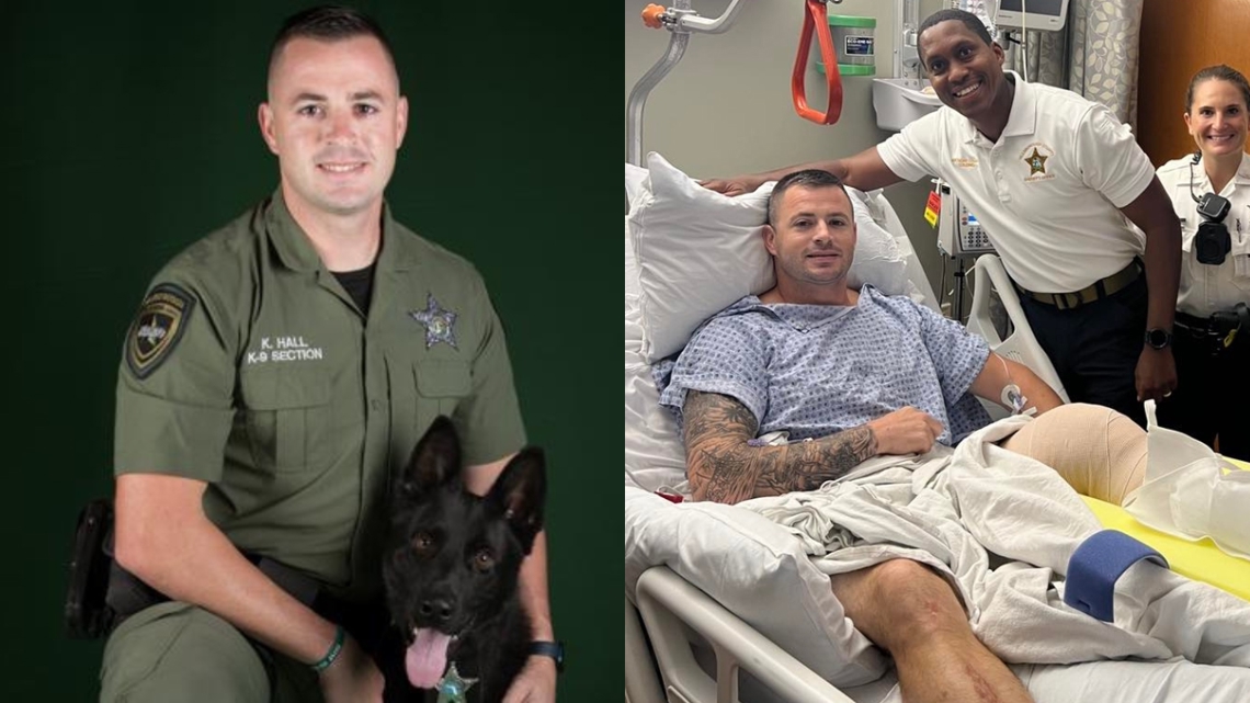 Hillsborough County deputy injured after run over by driver ...