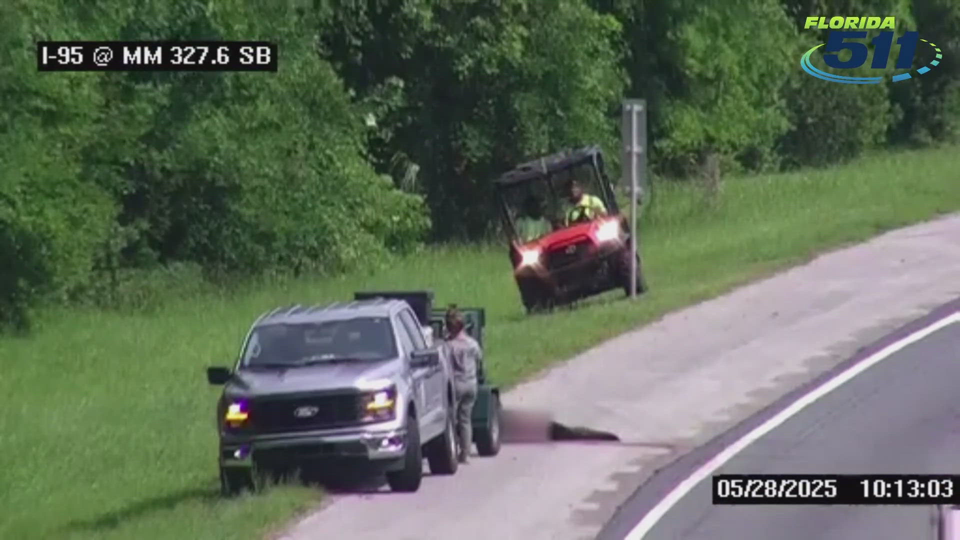 FWC: Bear killed in suspected crash on I-95 in St. Johns County ...