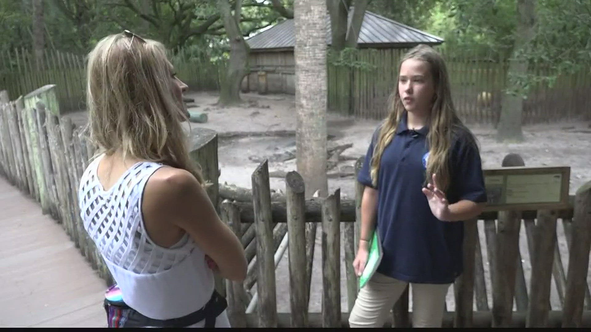 Officials and children at the Jacksonville Zoo had a chance to look at the effects of the solar eclipse on animals there.