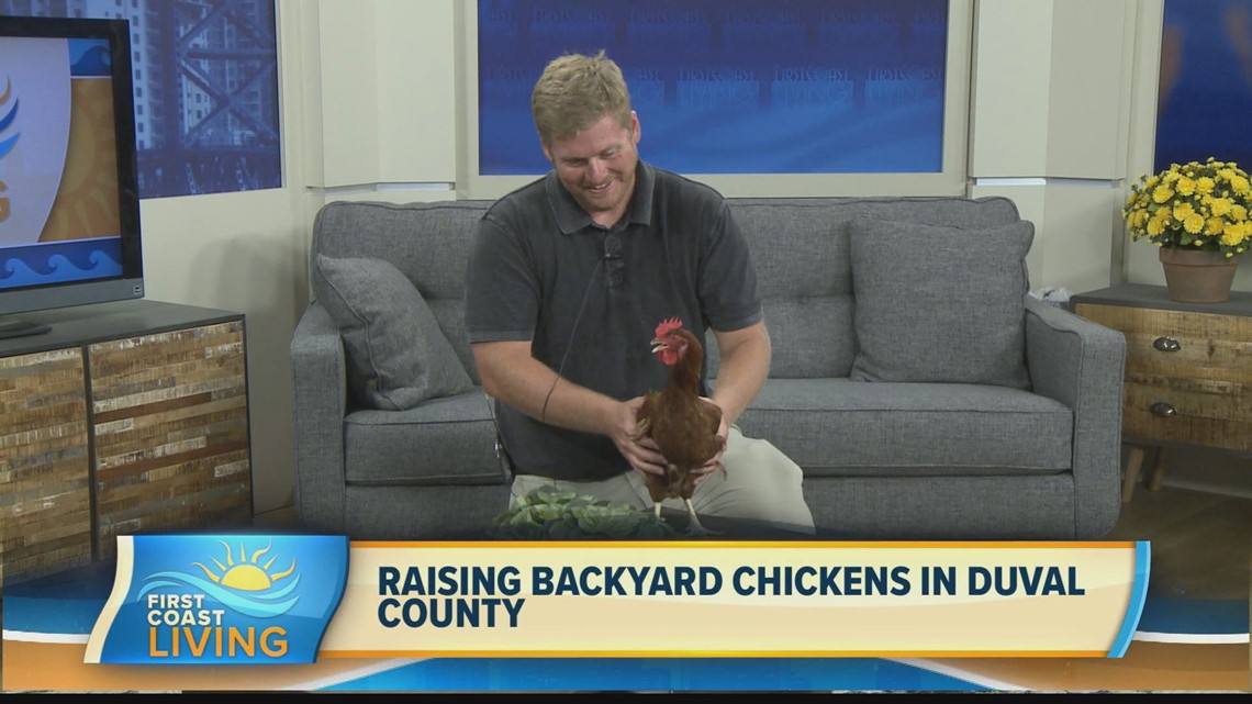 Raising Backyard Chickens in Duval (FCL June 9, 2022)