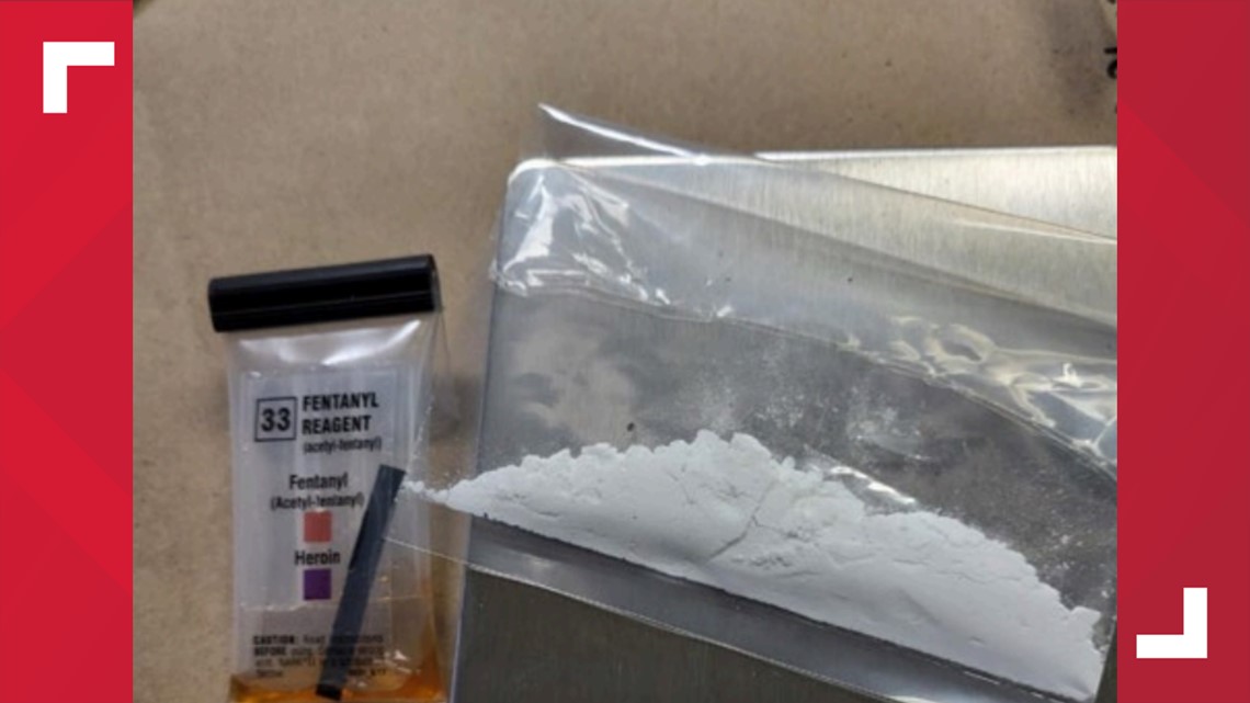 Florida deputies seize enough fentanyl to kill 32,000 people - Vimarsana News
