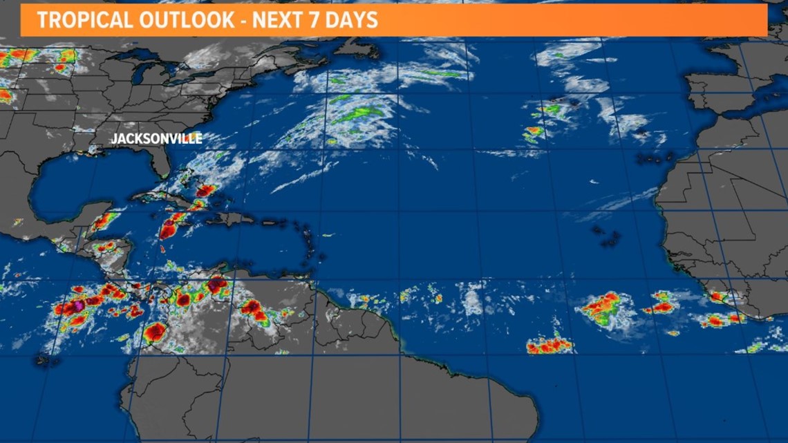 Mermaid or First Coast News meteorologist Amelia Henderson photos