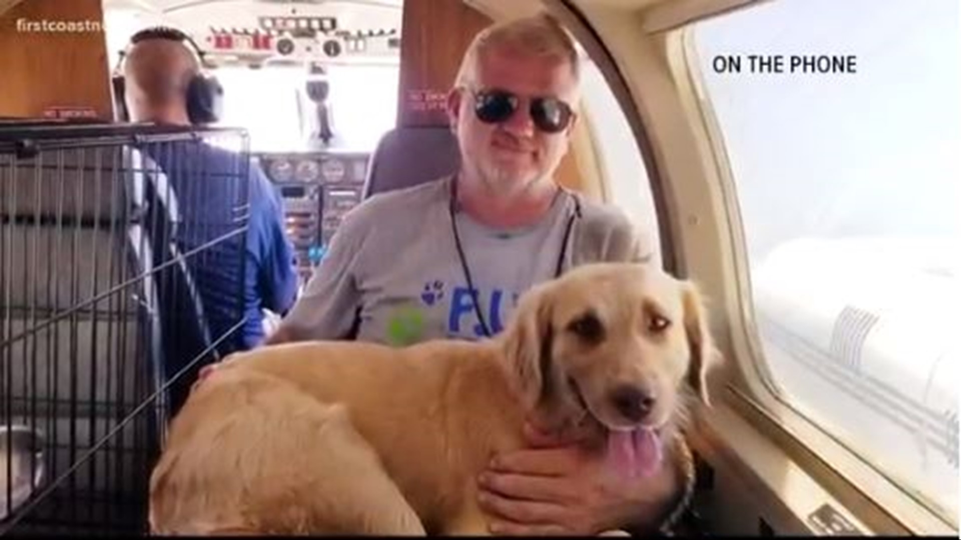 Florida Urgent Rescue has been working diligently to rescue animals left behind in the Bahamas from when Hurricane Dorian ravaged the islands.