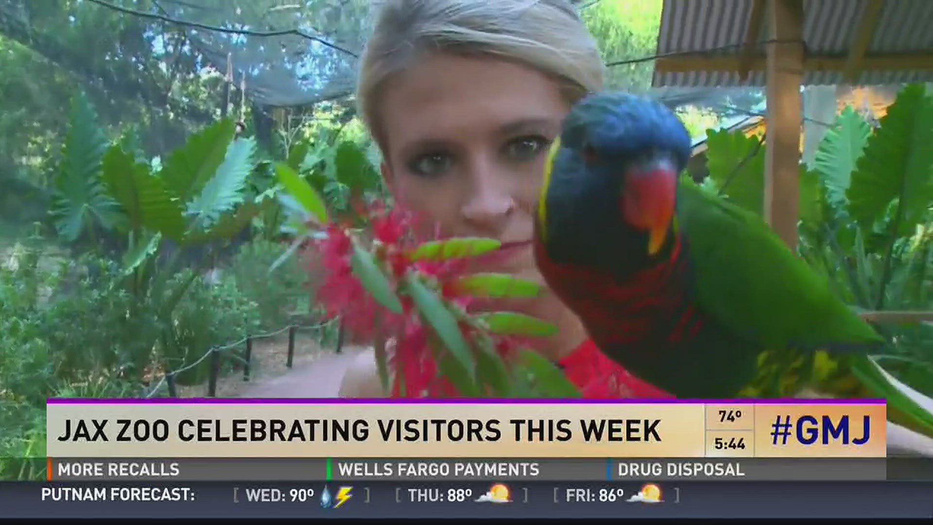 Jax Zoo celebrating visitors this week