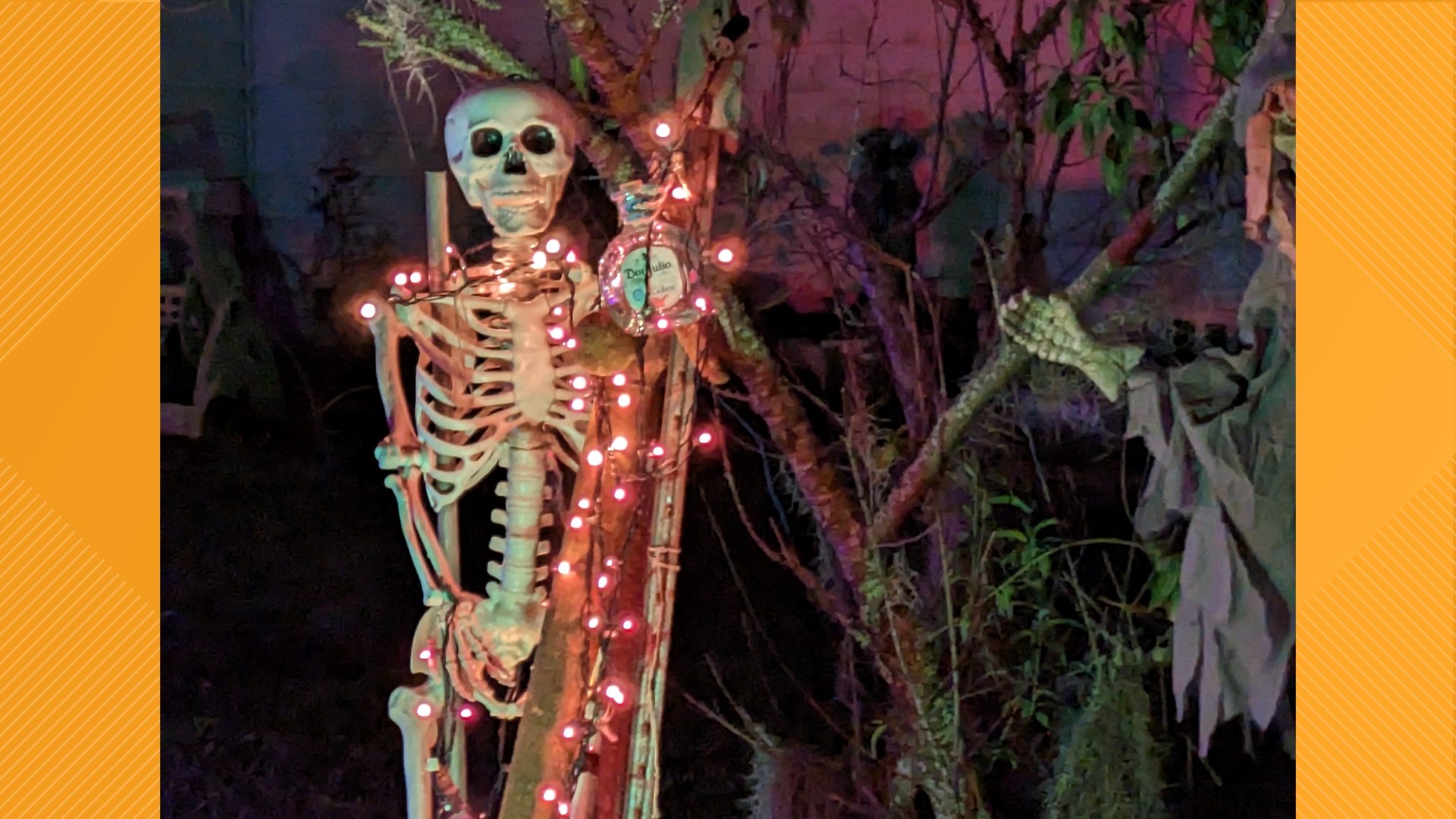 Jacksonville man decorates his front yard for Halloween ...