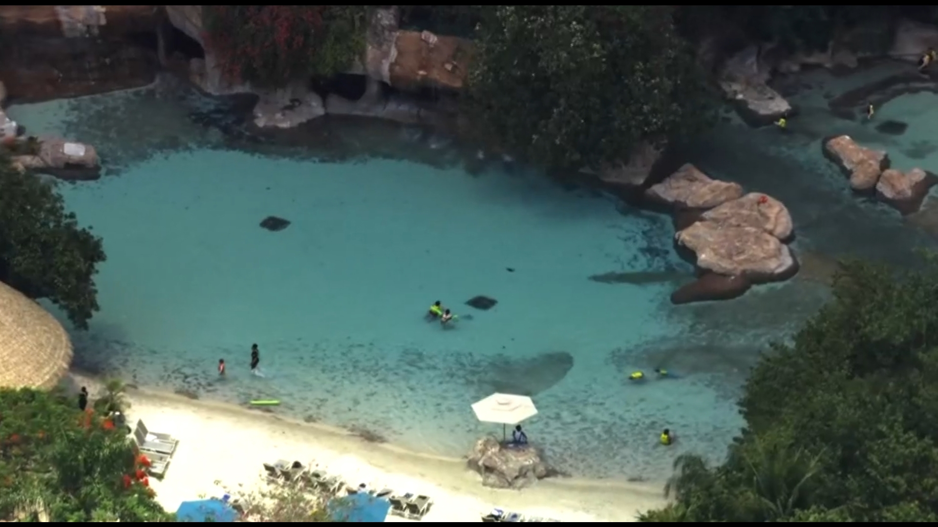 Aerial view from Orlando's Discovery Cove attraction.