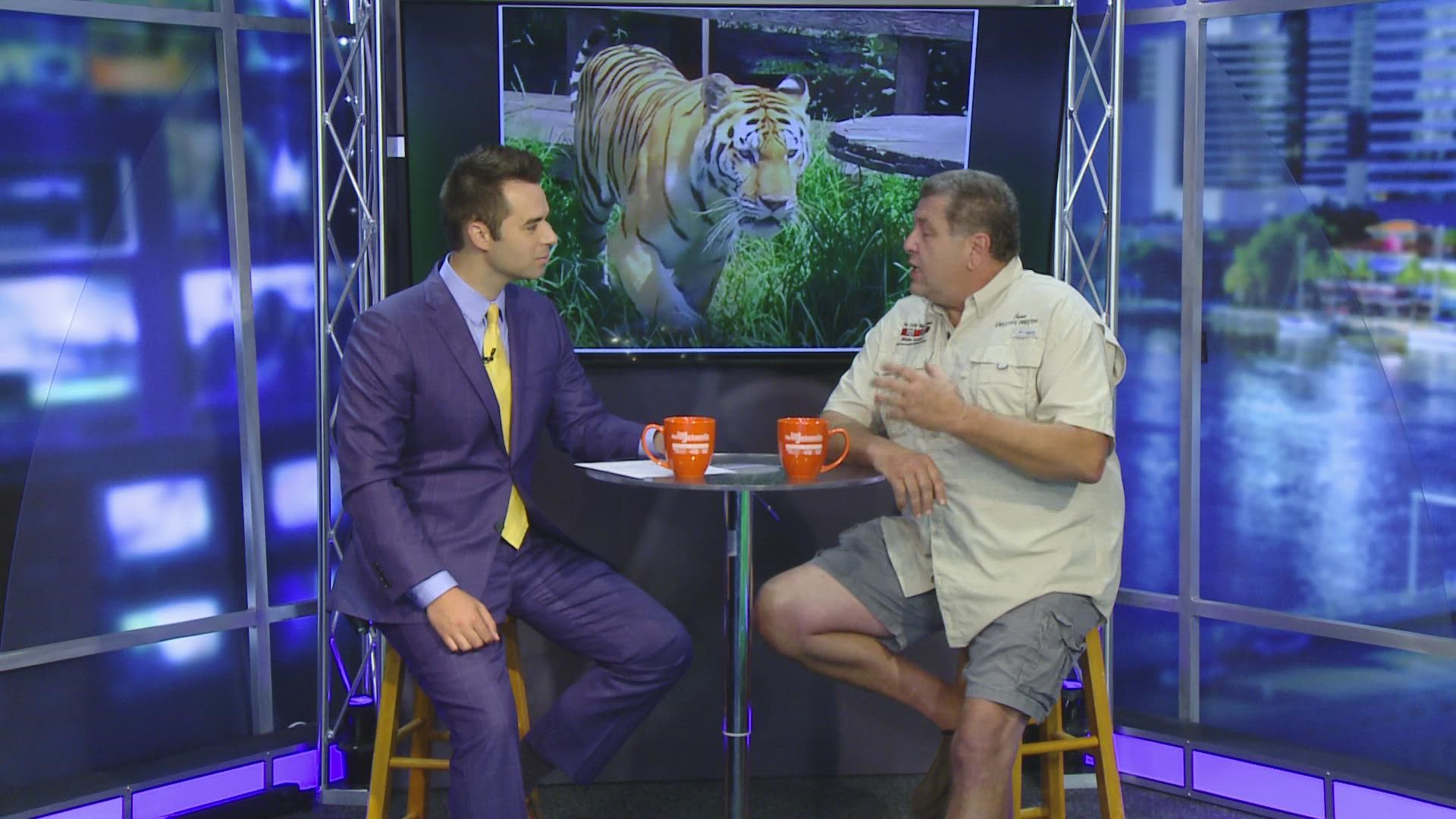 Curt Logiudice joins the GMJ gang to discuss all things big cats!