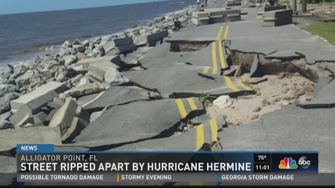 Tropical Storm Hermine: Damage Reports | Firstcoastnews.com