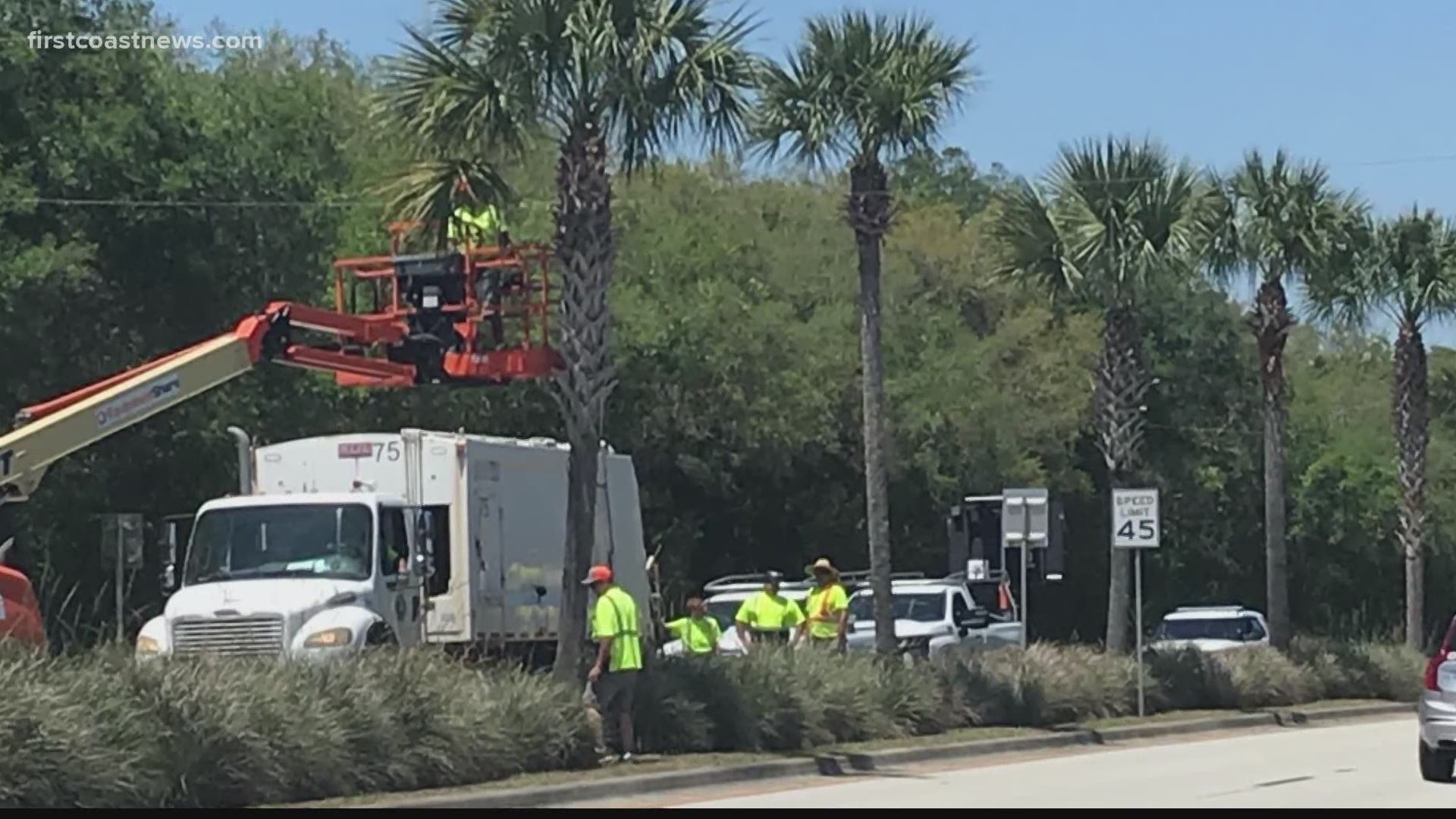 An arborist told First Coast News the trimming was too close and could endanger the trees.