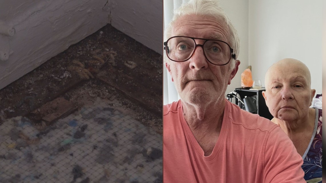 Jacksonville couple dealing with harmful mold in apartment - Vimarsana News