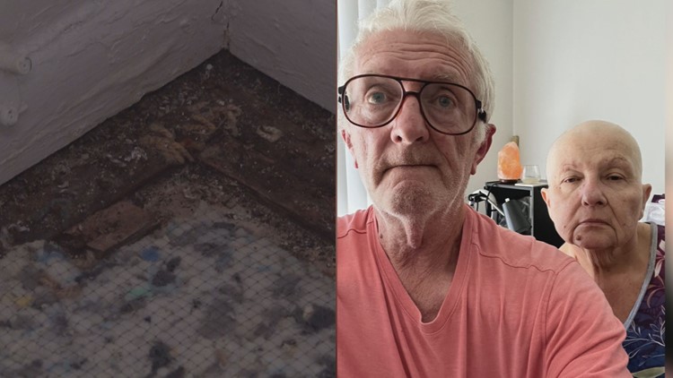Jacksonville couple dealing with harmful mold in apartment, feel rental property has taken advantage of them