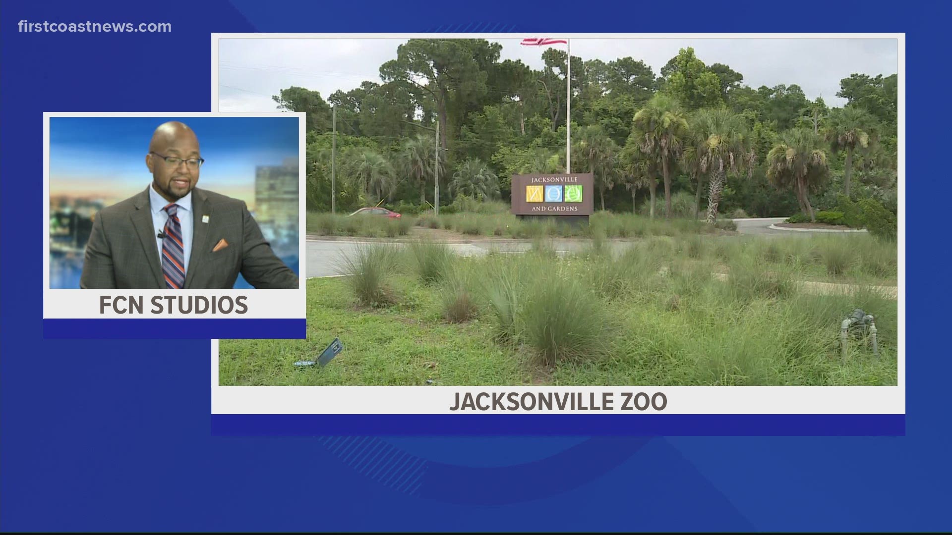 One person has been transported from the Jacksonville Zoo and Gardens with non-life threatening injuries.