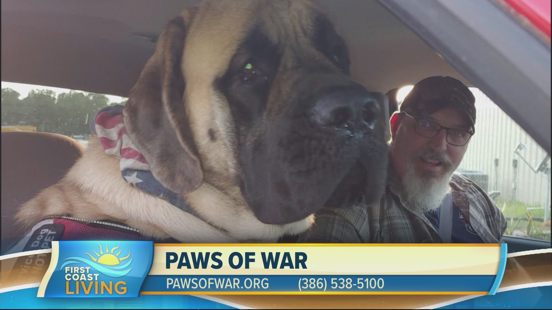 Paws Of War's mission is to train and place shelter dogs to serve and provide independence to U.S. military Veterans that suffer from the emotional effects of war