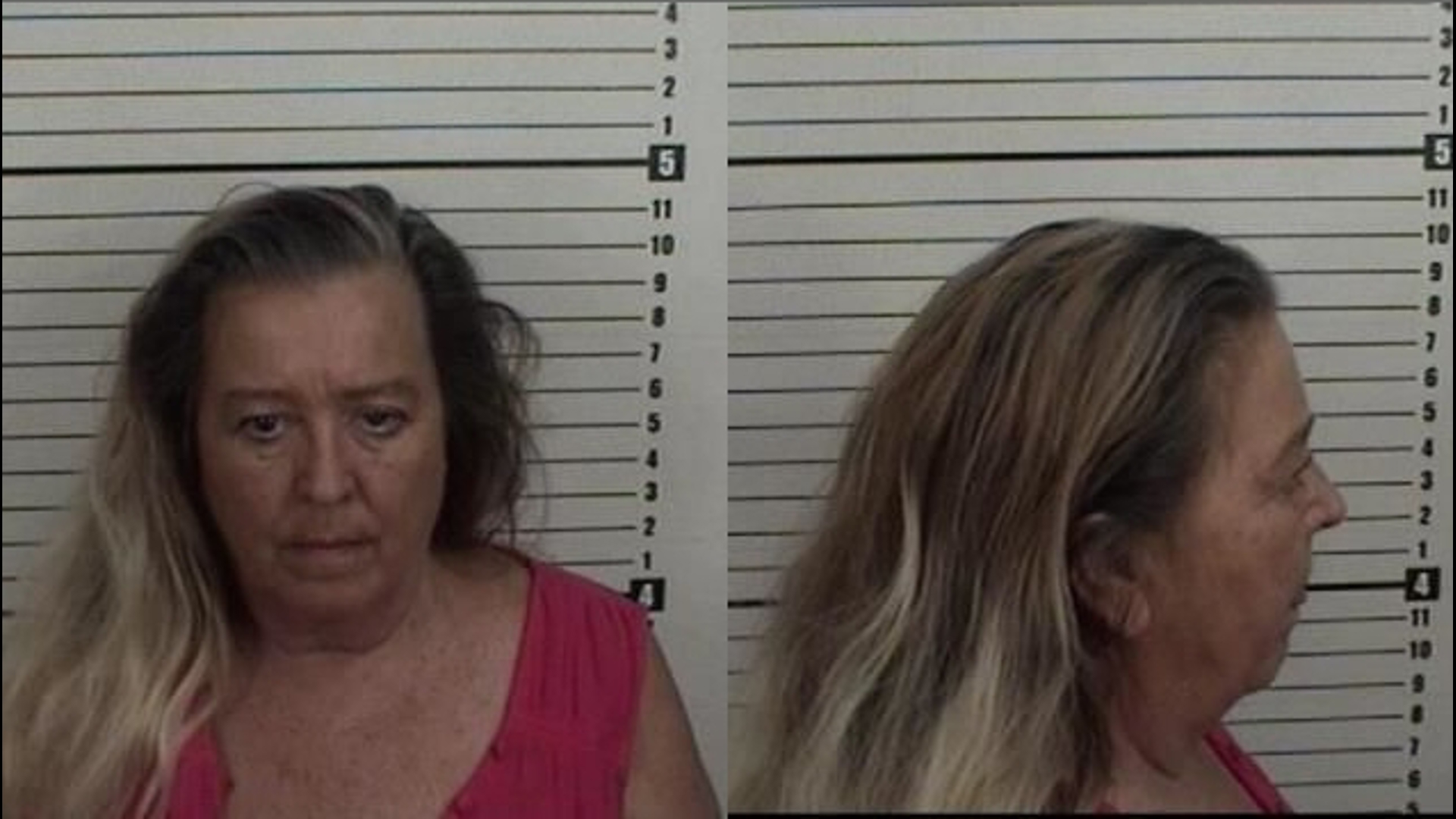 Merial Bemis Ex-judge in Georgia arrested for attempted burglary | firstcoastnews.com
