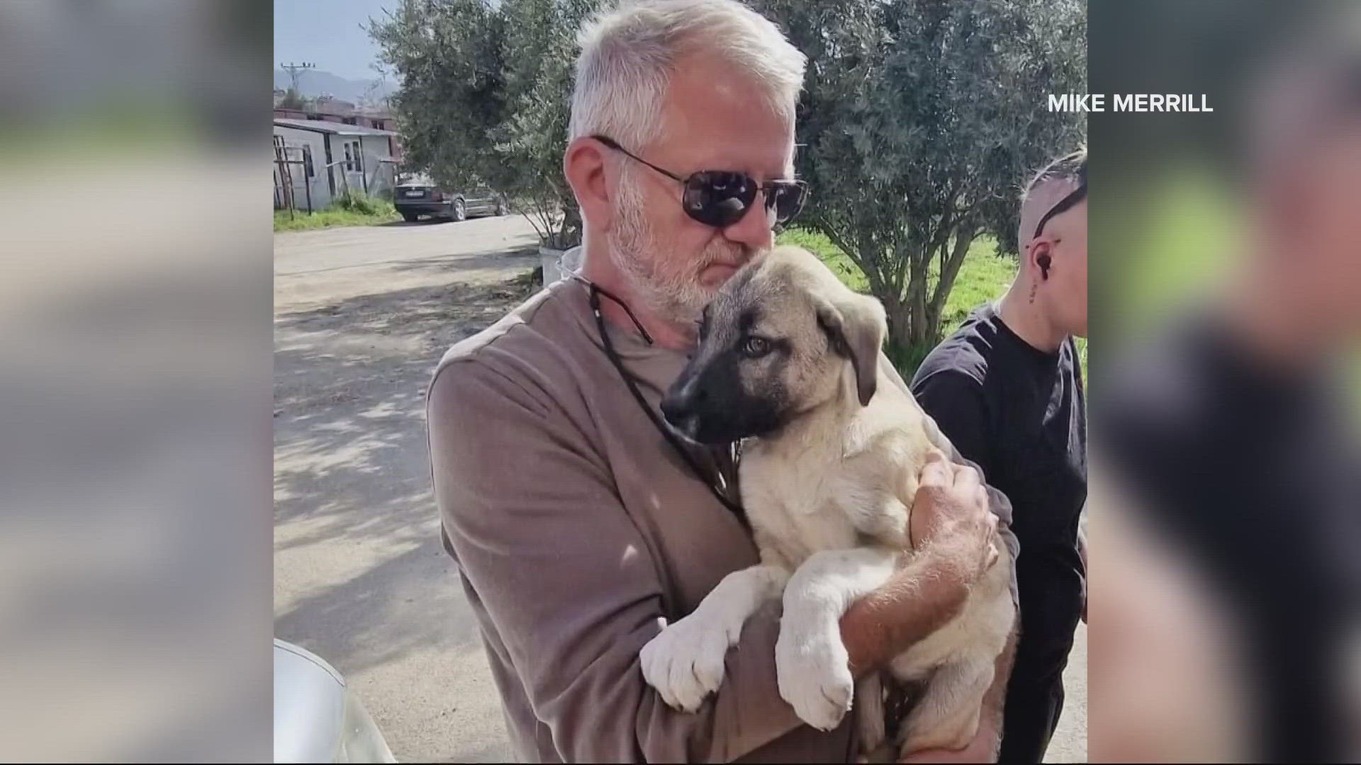 He says there are a lot of dogs roaming the streets in Turkey.