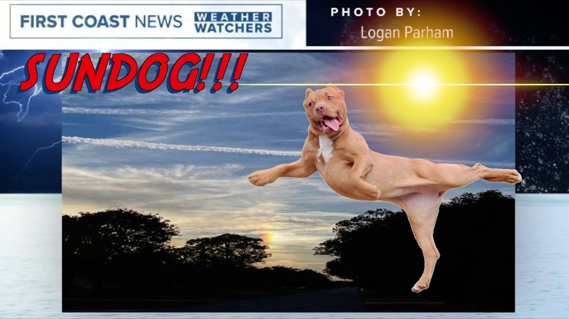 What is a sun dog? | firstcoastnews.com - Vimarsana News