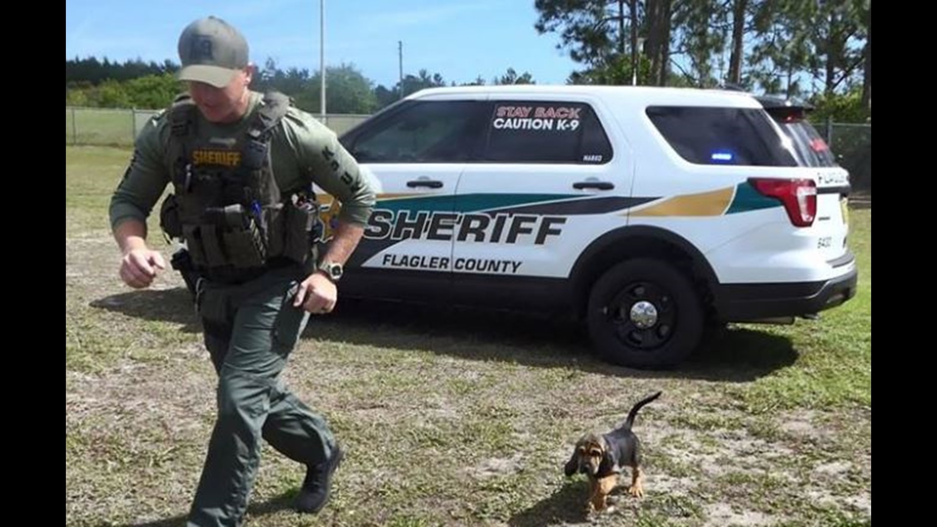 Flagler County Sheriff’s Office Needs Your Help To Name Their New ...