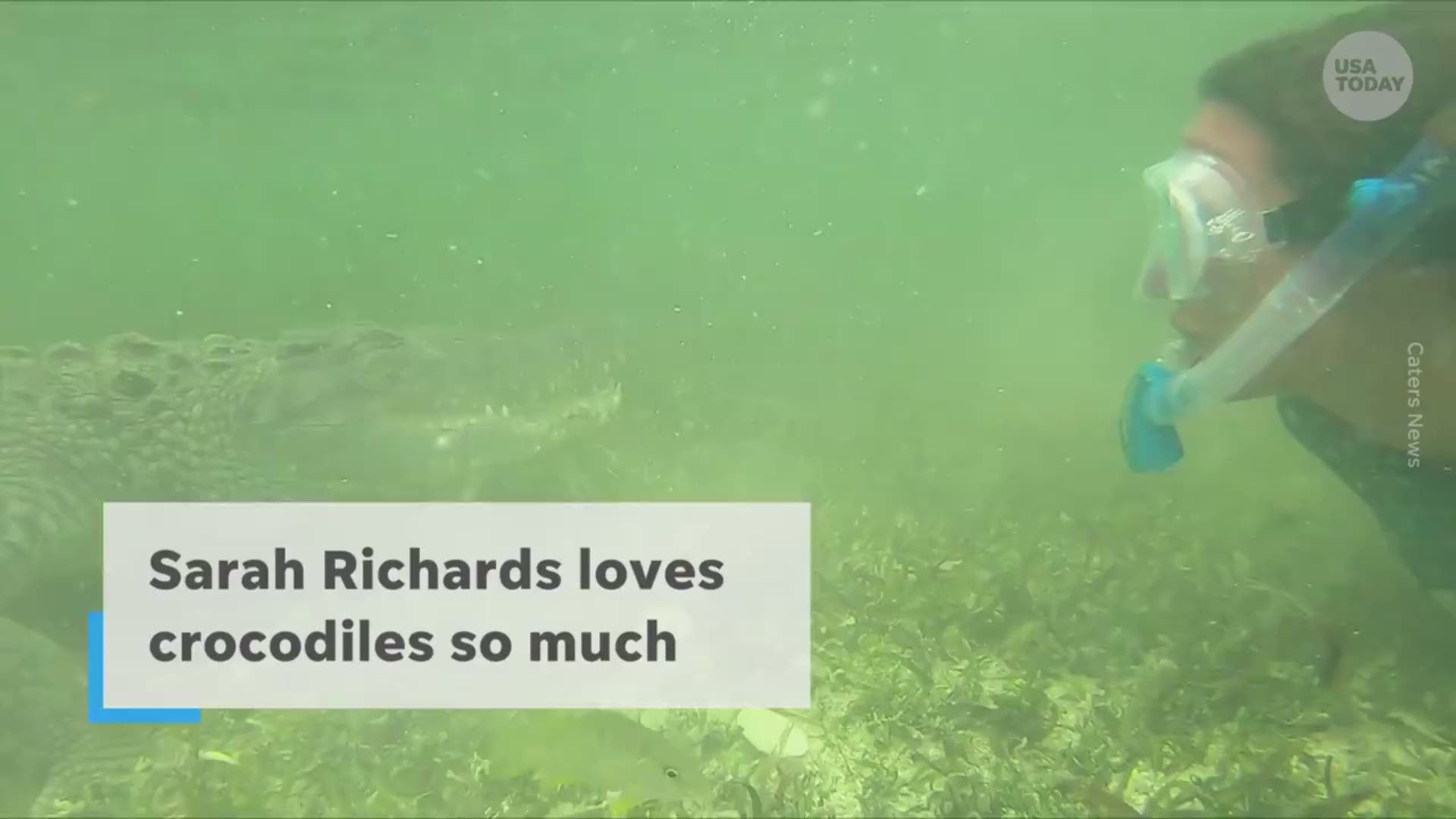 British-born Sarah Richards came face-to-face with a crocodile during a scuba trip to Mexico in July.