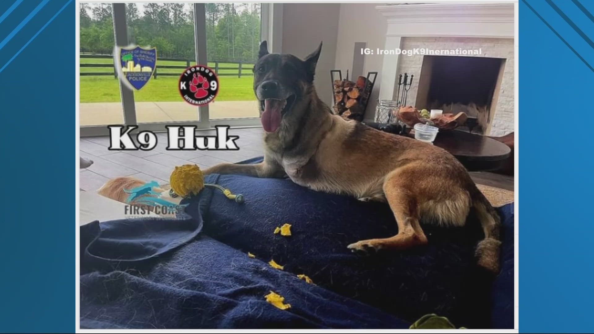 Injured JSO K-9 Huk on his way to recovery after getting leg