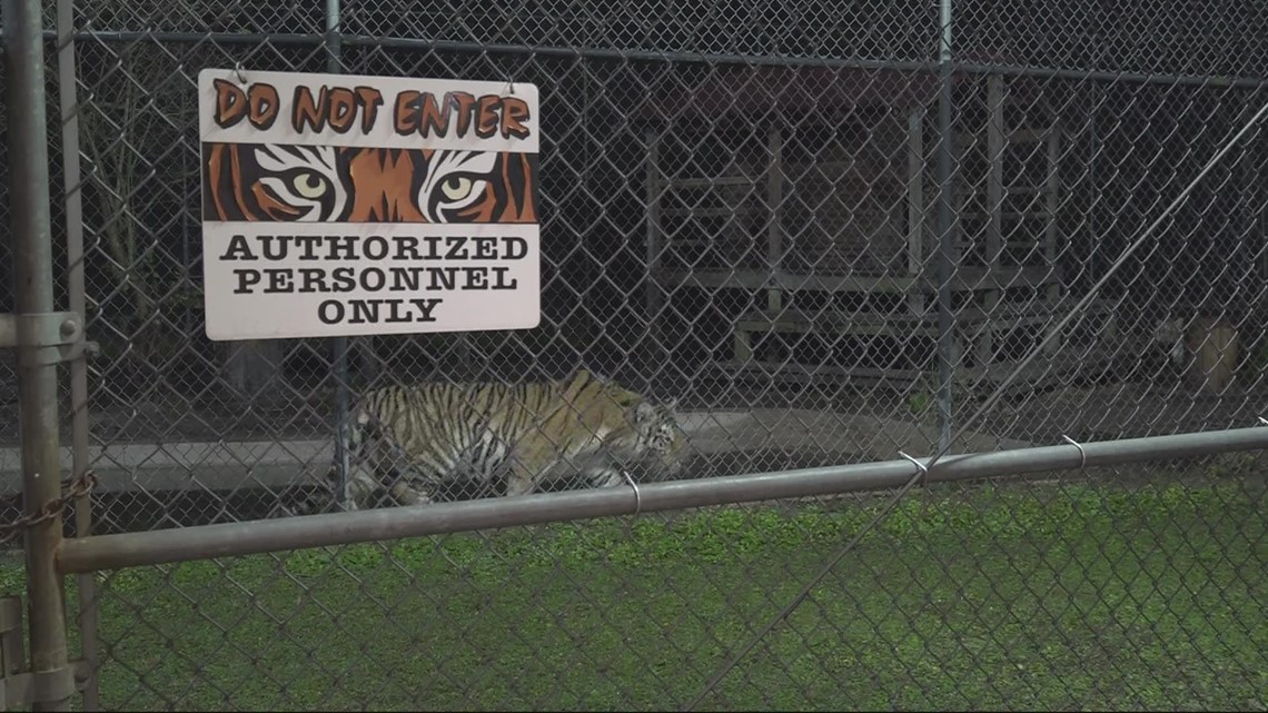 Jacksonville Zoo has new safety procedures after bear attack