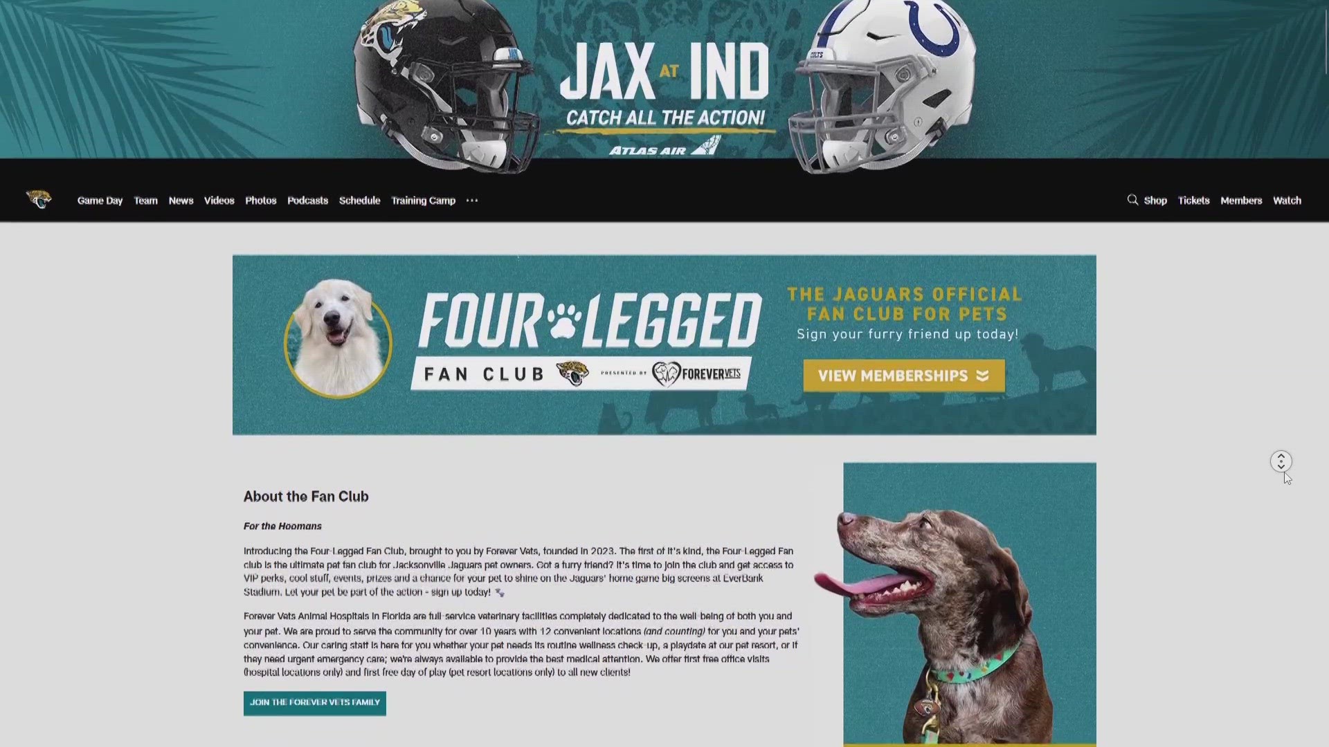 The 'Four-Legged Fan Club' gives your pet access to exclusive merchandise, events and sweepstakes including a chance to win sideline tickets.