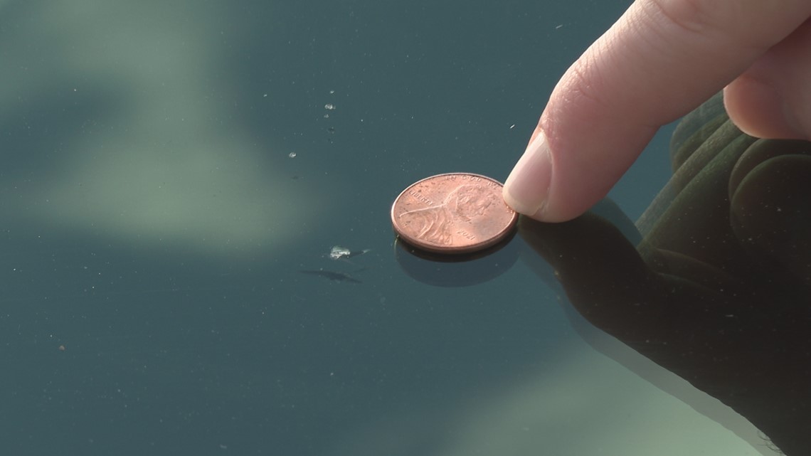 Drivers complain of rocks cracking windshields on I-10 - Vimarsana News