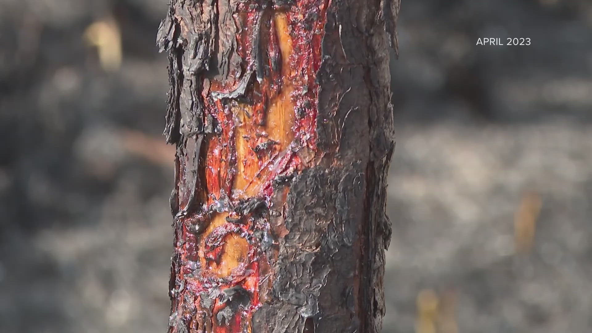 Nassau County fire officials urge caution as dry conditions can heighten brush fire risks due to a lack of rain in the area.