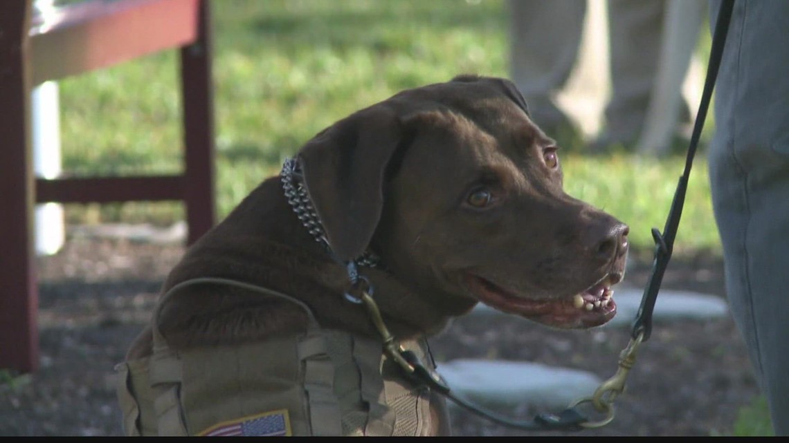 K9s For Warriors in line for $2.25 million from San Antonio Bond. - Vimarsana News