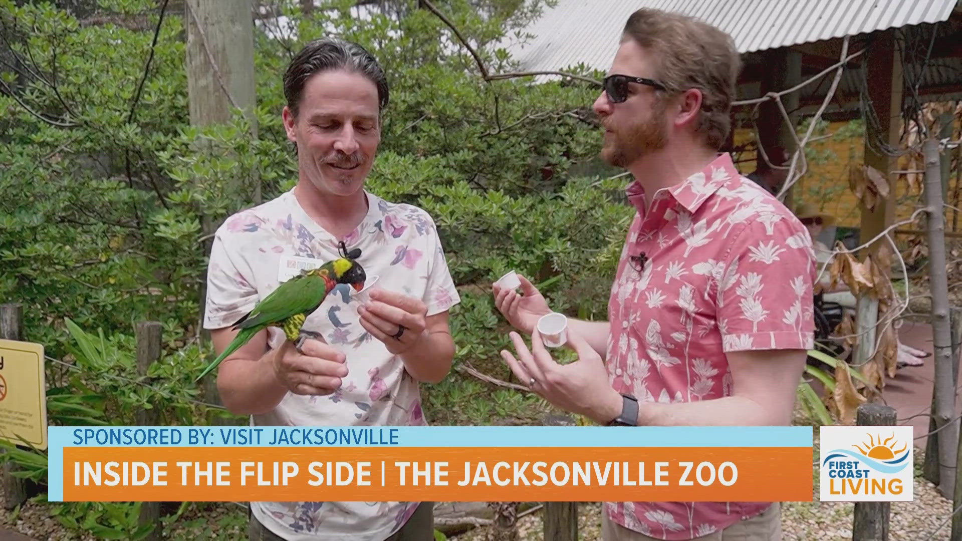 with Visit Jacksonville