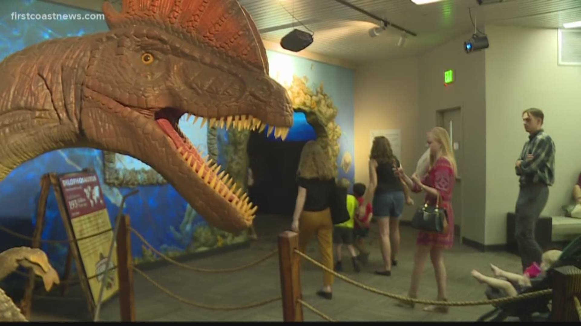 The exhibit will allow you to experience life-size, lifelike animatronic dinosaurs that move and make sounds.
