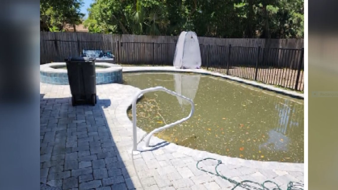 Jacksonville family's pool filled with raw sewage - Vimarsana News