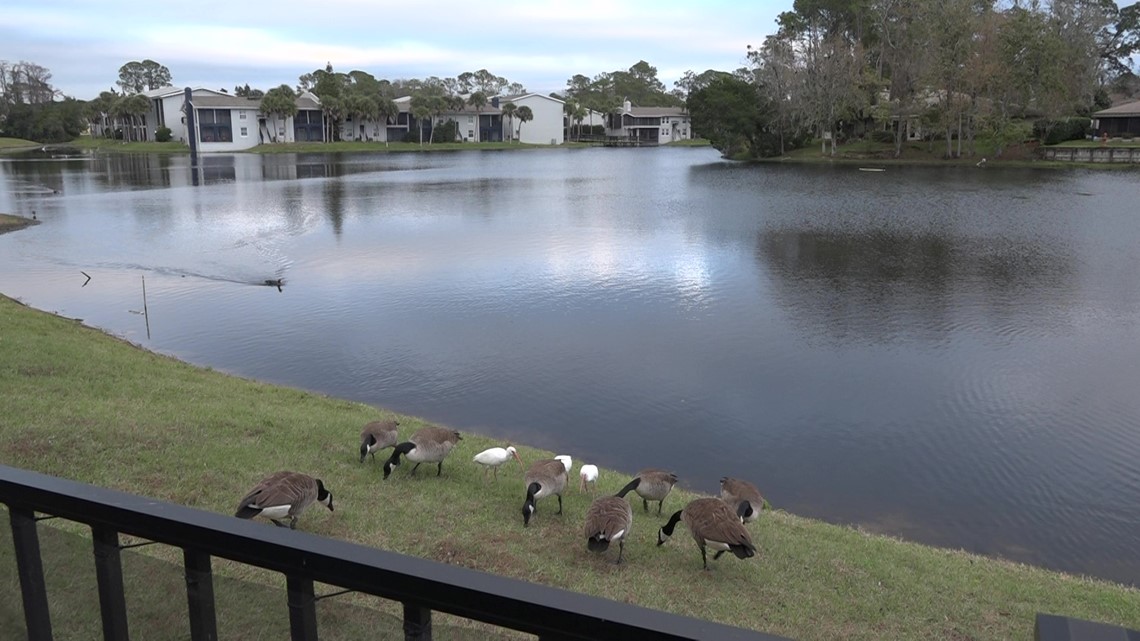 Baymeadows neighborhood lake restored with help from FCN