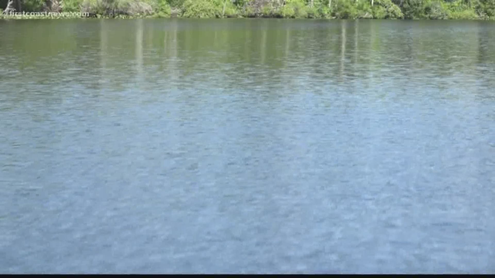 'It's a beautiful place' Why you should visit Black Creek in Clay