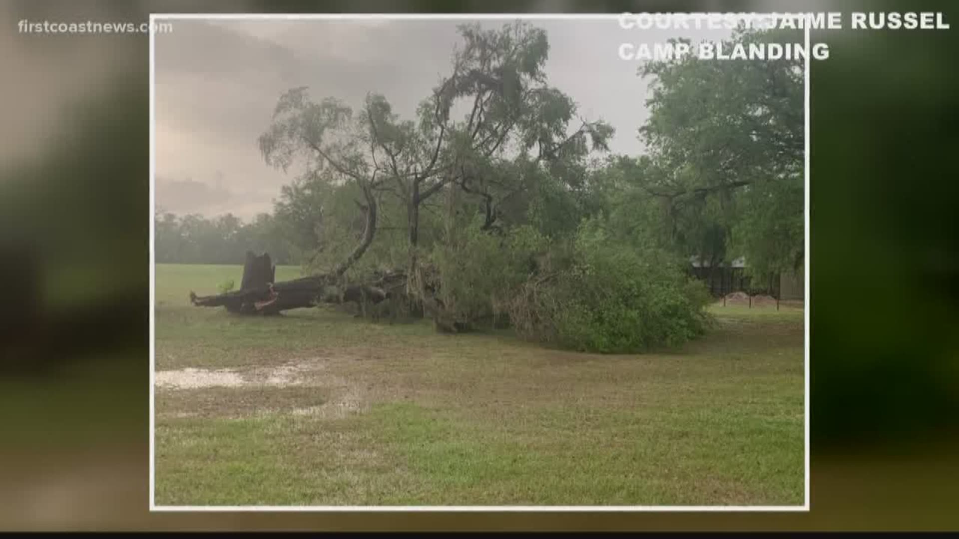 Reported tornados and thunderstorms caused a power outage in Duval County and uprooted trees in several counties Tuesday evening.