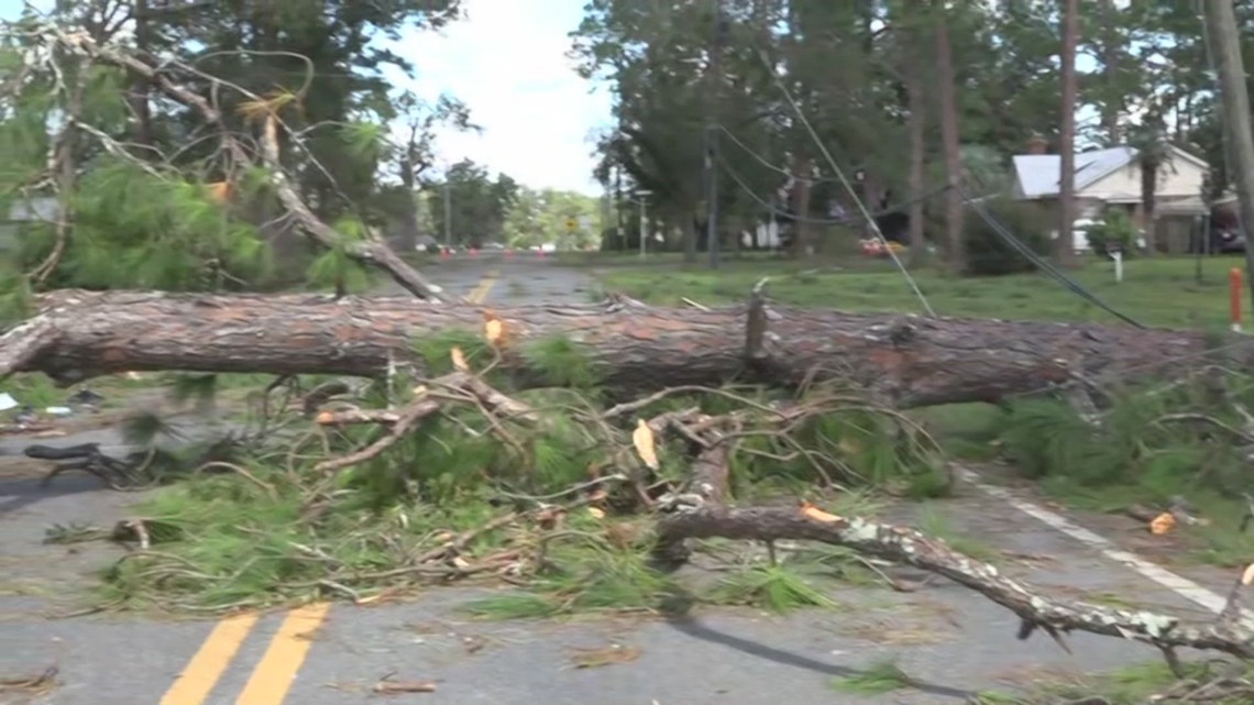 Assistant Blackshear fire chief killed by falling tree while working