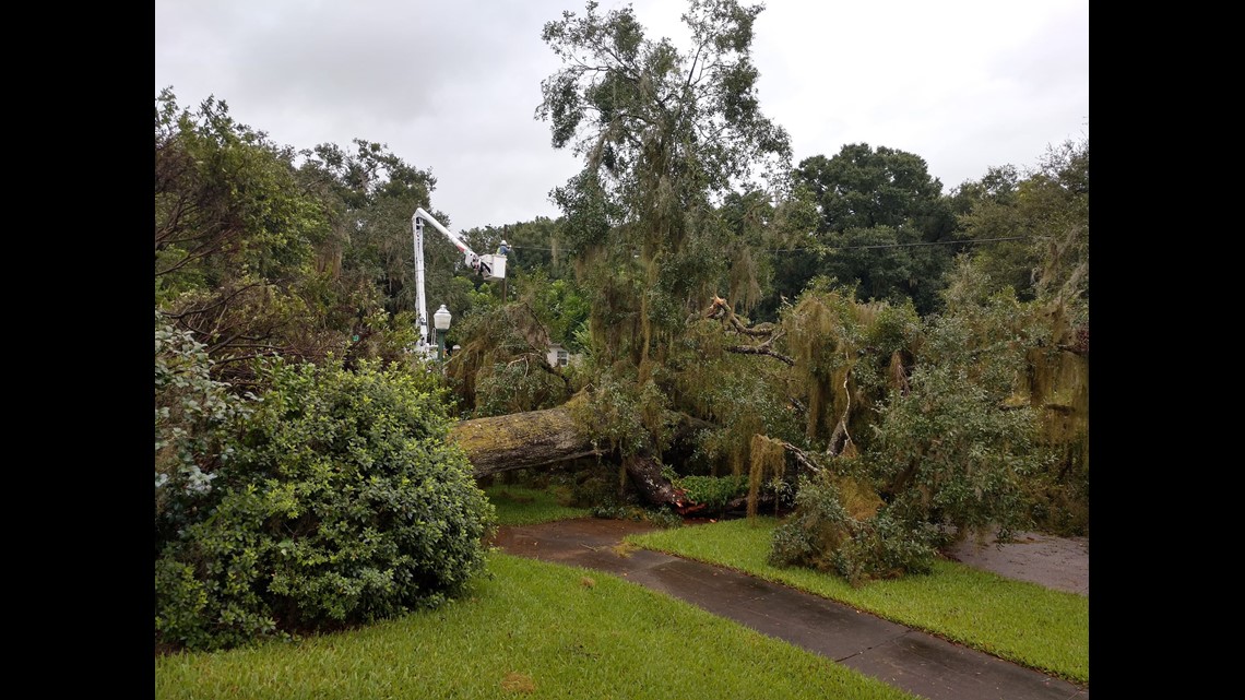 Your Photos of Hurricane Dorian: crashing surf, fallen 