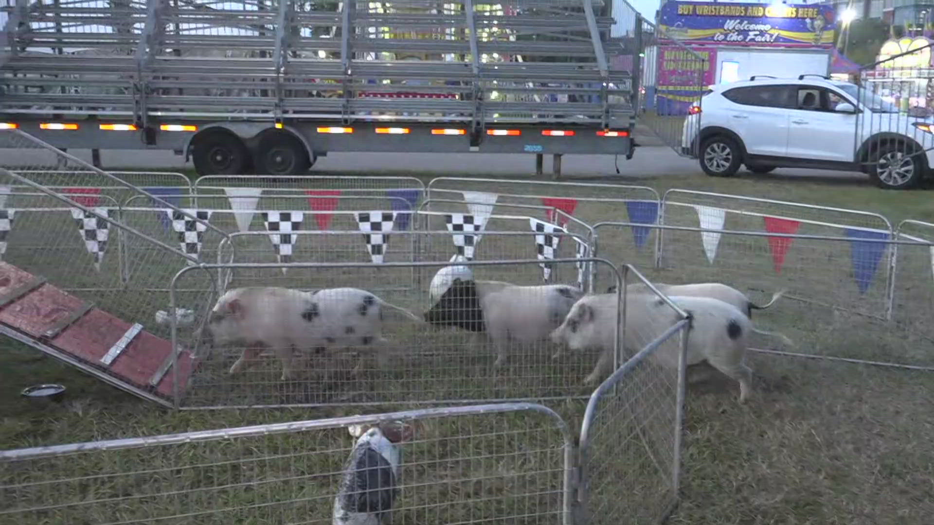 The Greater Jacksonville Agricultural Fair kicks off Thursday at 5 p.m.