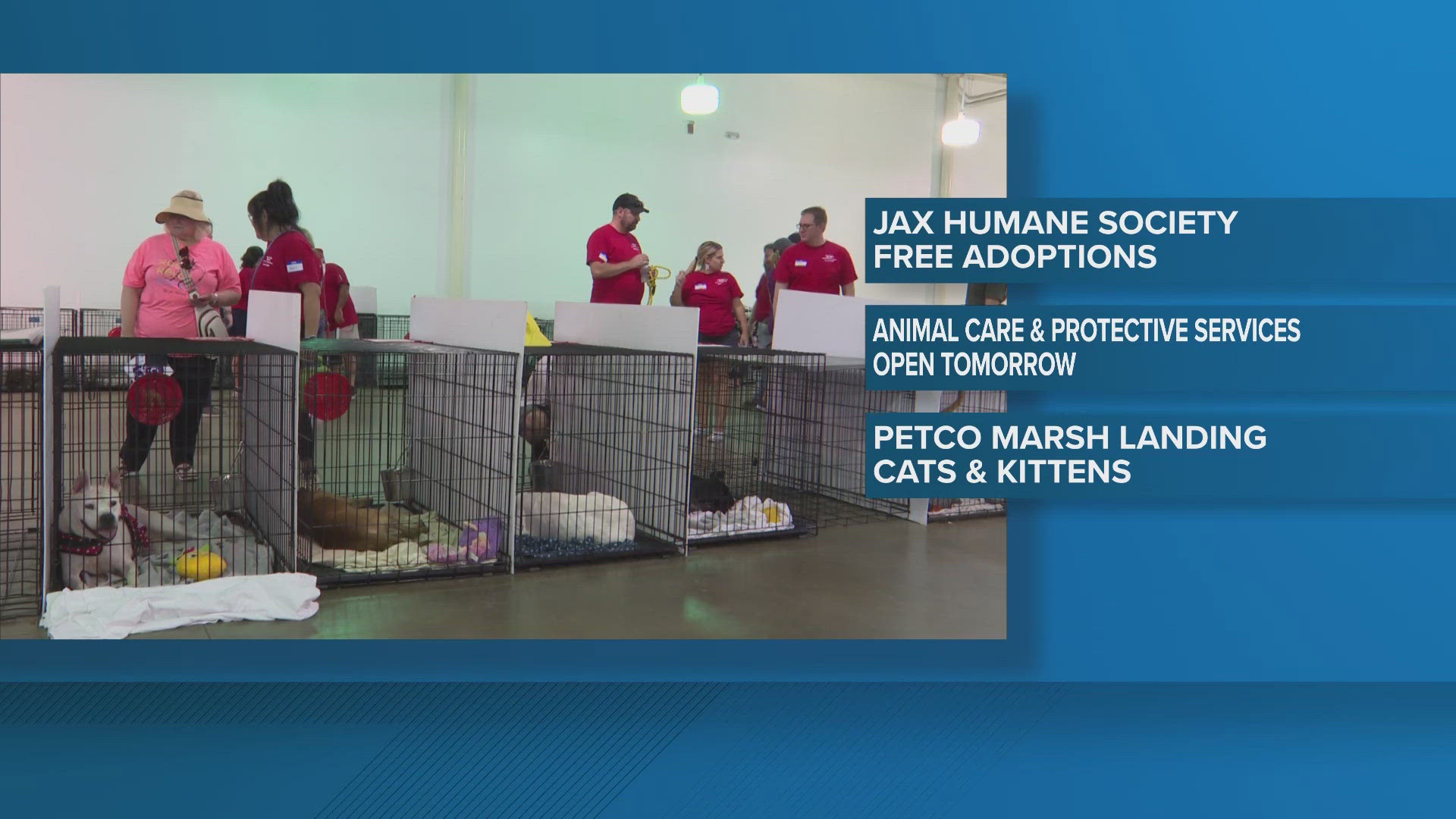 The Jacksonville Humane Society said every cat was adopted at the two-day event.