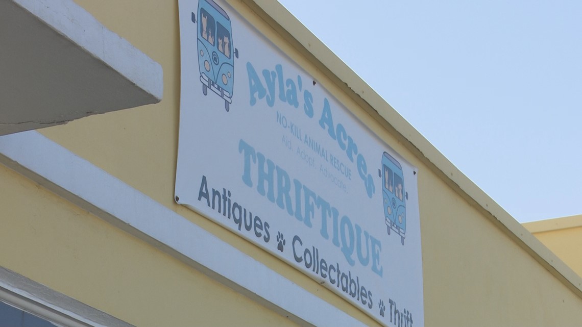 How to donate to Ayla's Acres in St. Augustine - Vimarsana News