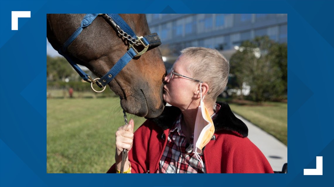 Horse visits patients at Jacksonville Mayo Clinic - Vimarsana News